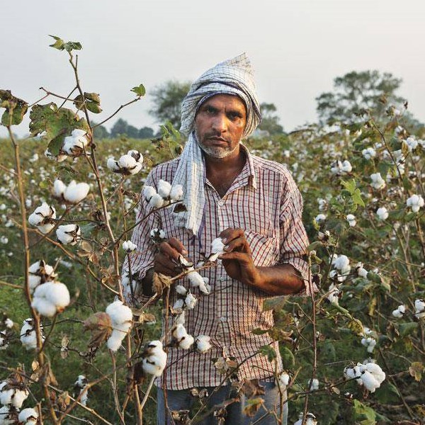 farmer avatar